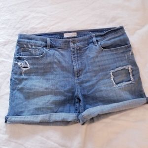 Ann Taylor loft denim shorts